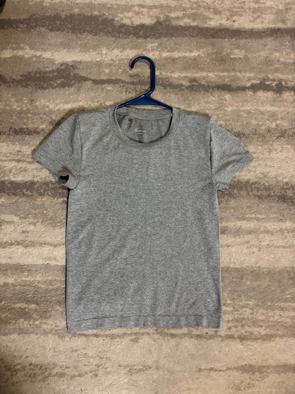 Aritzia smooth seamless willow t-shirt